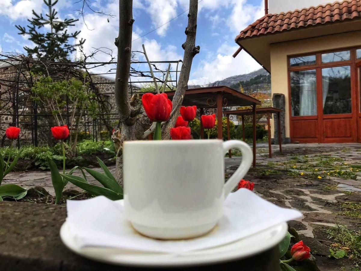 Hotel Mirhav Goris Exteriér fotografie